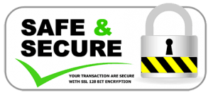 secure-300x135